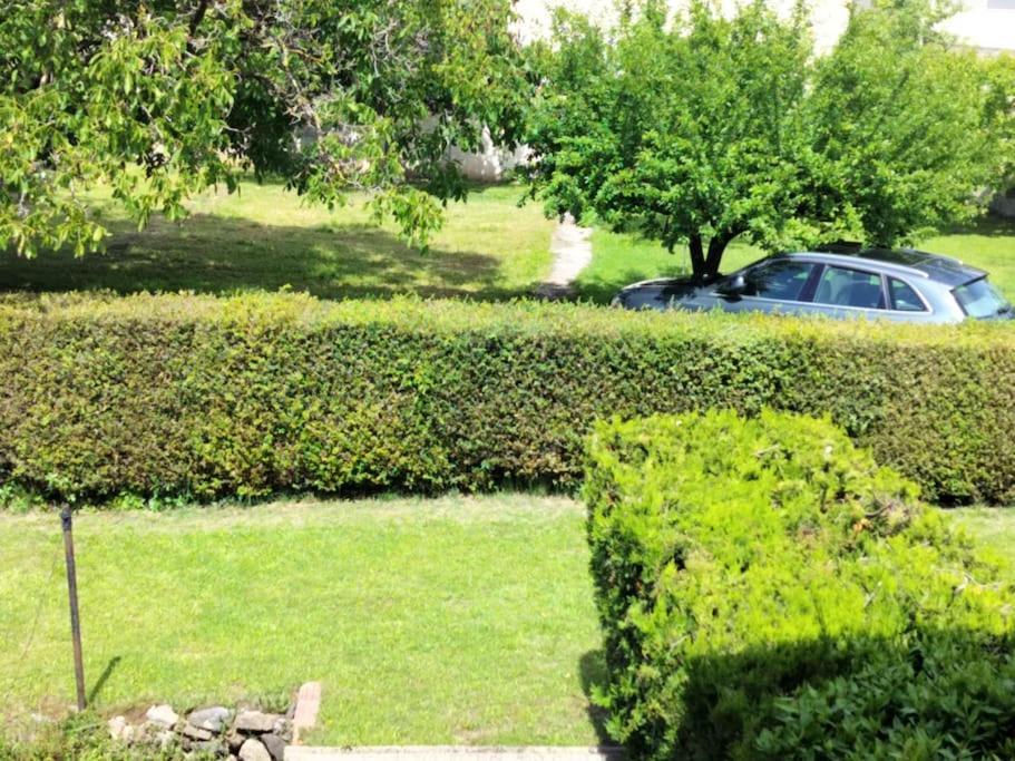 Finca Arep Alquiler Integro 6 Les Planes Les Planes d'Hostoles Extérieur photo